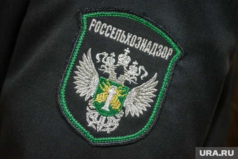 С начала 2025 года пресечен ввоз более тонны нелегальной продукции