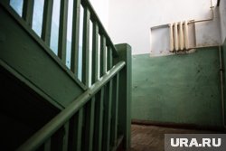 В подъезде из-за кроликов шумно и стоит неприятный запах