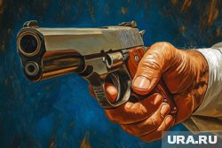 По предварительным данным, стрельба производилась из охолощенного оружия