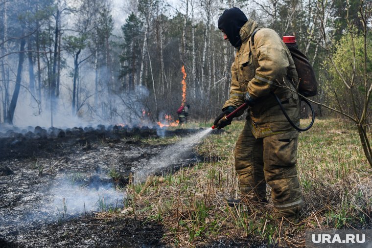 Пожары в лесах возникли из-за грозы