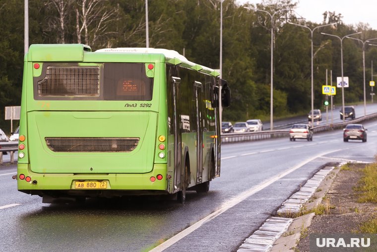 Новый маршрут начнет работу с 1 августа