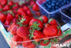 На урожайность негативно повлияли апрельские и майские заморозки
