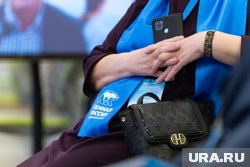 Политтехнолог Дмитрий Кирьян уверен, что Светлана Кириллова легко обойдет конфликтную среду местных элит