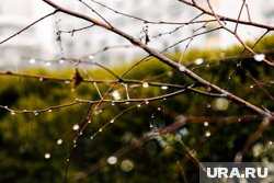 Раньше крестьяне надеялись, что 8 мая пойдет дождь