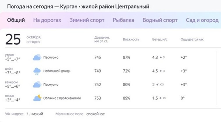 Для пробежки и прогулок не самый удачный день из-за сырости на дорогах