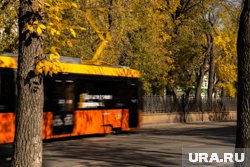 Первый снег может появиться уже в ближайшие выходные