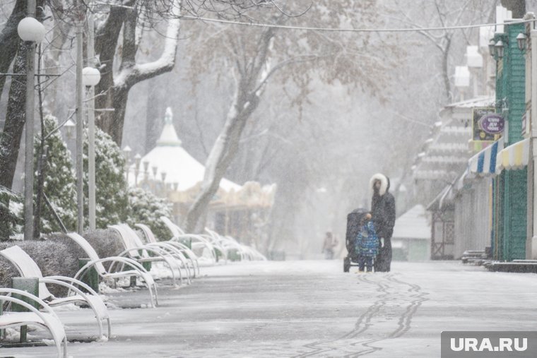 Днем в Челябинской области потеплеет до нуля градусов (архивное фото) 