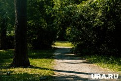 Июль этого года оказался самым холодным за последние 10 лет
