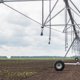 Фирму курганского депутата оштрафовали на 2,5 млн из-за студентов-мигрантов