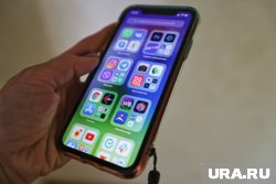 Мессенджер Mах схож по интерфейсу с Telegram и WhatsApp*, заявил юрист