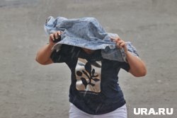 Осадки ожидаются 20 июня
