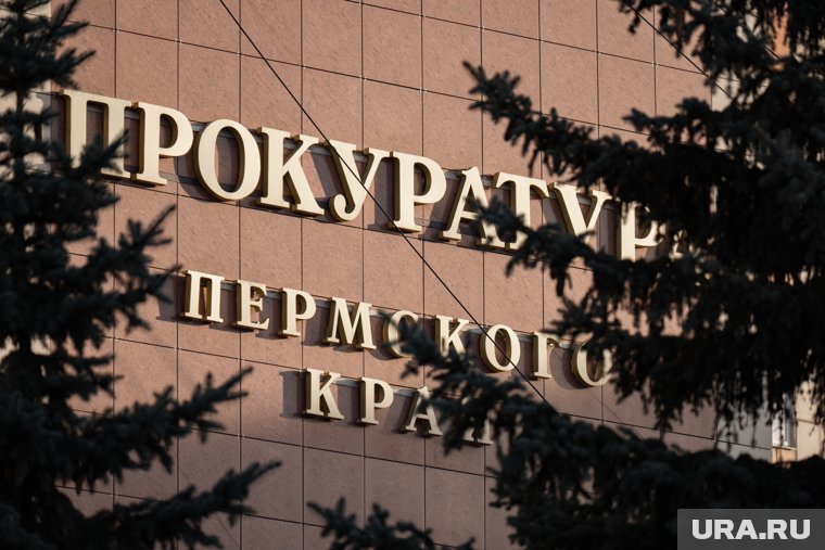 Надзорный орган организовал проверку по факту ДТП