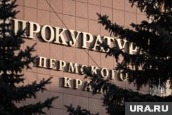 Надзорный орган организовал проверку по факту ДТП