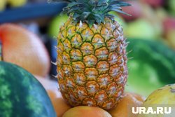Ананасы можно вырастить даже в курганском климате при соблюдении ряда условий