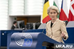 Условия соглашения крайне невыгодны для Евросоюза и особенно для Германии