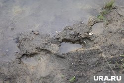 Следы мальчика обнаружили возле карьера
