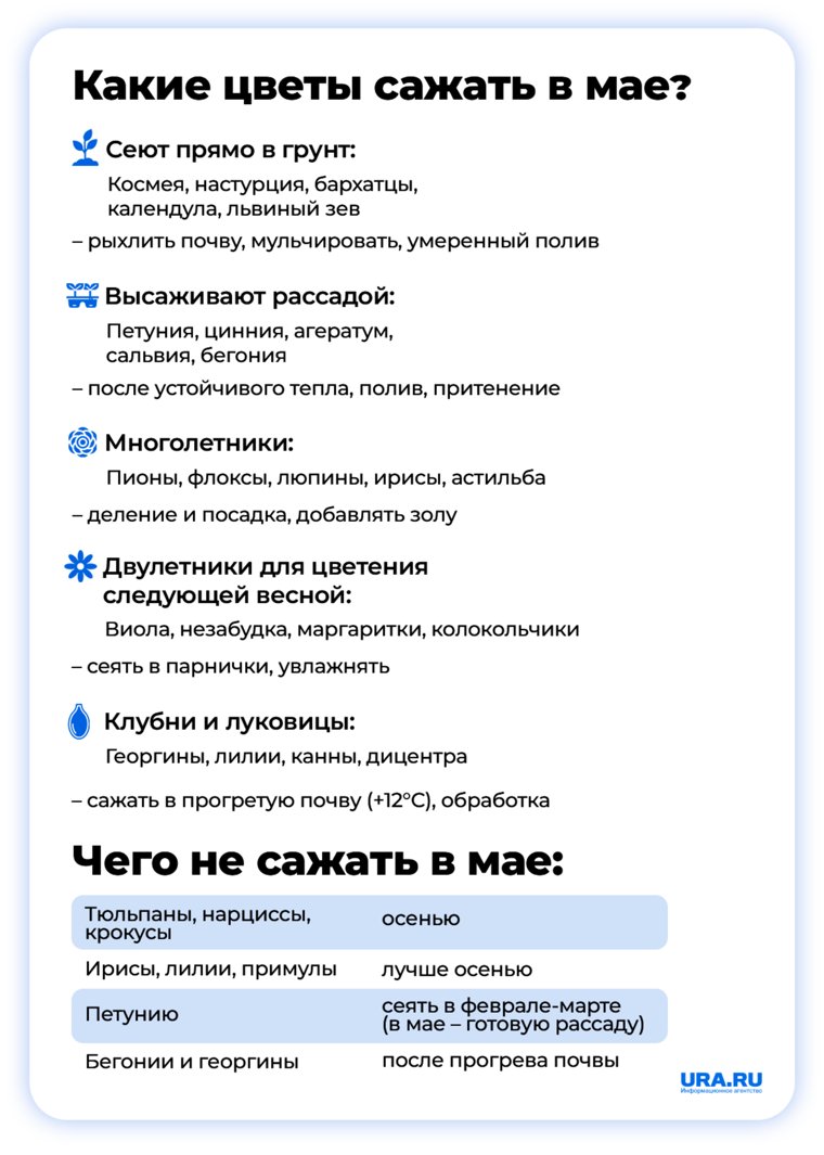Майские цветы довольно капризны