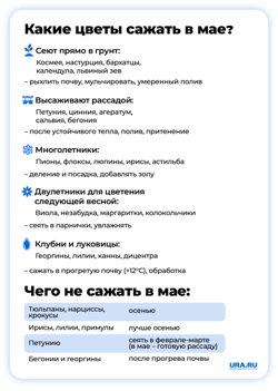 Майские цветы довольно капризны