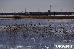 В Целинном округе (Курганская область) половодье закрыло дорогу к селу