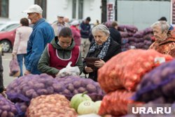 Доля личных подсобных хозяйств сократился за 25 лет с 95% до 50-60%
