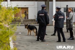 В школе искали подозрительный предмет (архивное фото) 