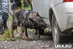 Белый джип с привязанной к днищу коробкой нашли в Москве
