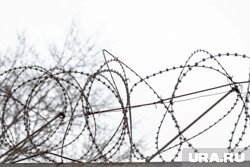Молодой человек вел канал в мессенджере прямо в ИК 