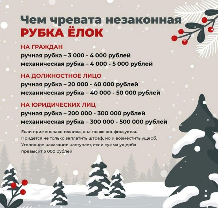 Штрафы за незаконную рубку Елей