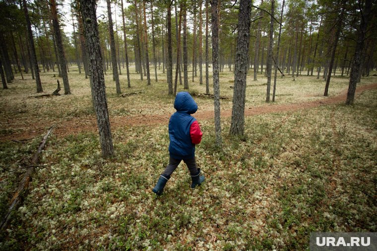 Усольцевы пропали 28 сентября