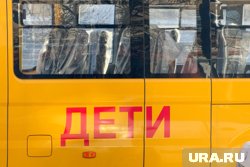 Водитель получил штраф в размере трех тысяч рублей
