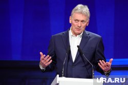 Тема перемирия была поднята администрацией президента США, заявил Песков
