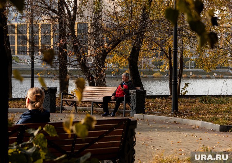 Осенью 2024 года температурные показатели были значительно выше нормы