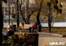 Осенью 2024 года температурные показатели были значительно выше нормы