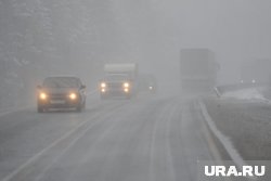 С 1 по 3 ноября в Челябинской области ожидаются метели, снегопады и дожди