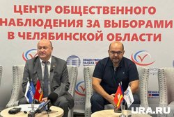 Голицын озвучил промежуточные итоги явки