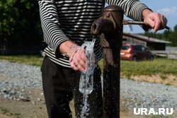 Роспотребнадзор обнаружил опасную воду в роднике на улице Лазарева в Нягани