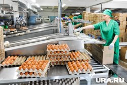 Несмотря на прибыльность бизнеса, желающих купить его не нашлось