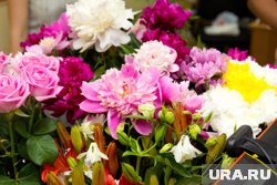 Пионы продаются почти в два раза дороже роз 