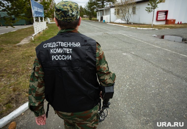 По итогам проверки следователи примут процессуальное решение