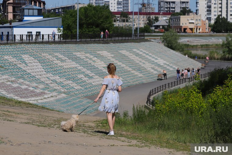 Курганцы обратились в мэрию, чтобы вернуть скамейки на набережную Тобола (архивное фото)