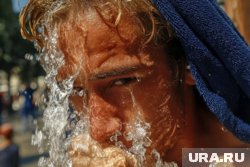 Теплая погода будет в городе