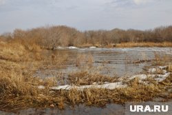 В Целинном округе столкнулись с паводковыми водами