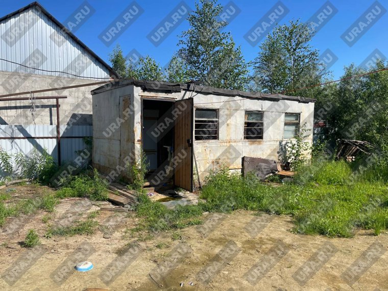 Вот так выглядит место, где живет лев