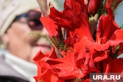 Продавцы предупреждают, что к празднику поднимут цены на цветы