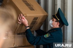 Больше всего нарушителей обнаружили во втором полугодии 2024 года