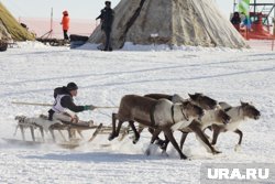 В ХМАО ввели новые меры поддержки для ханты и манси