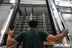 Колумбия и Эквадор стали странами-импортерами курганской продукции