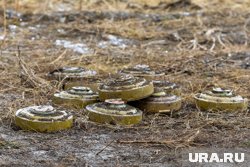 У аэропорта Барауэ в Сомали сработала мина