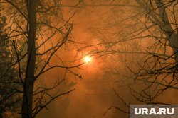 В Сибири опасаются риска возникновения лесных пожаров этим летом