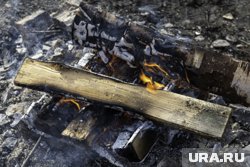 Причиной возгорания стал костер, оставленный туристами